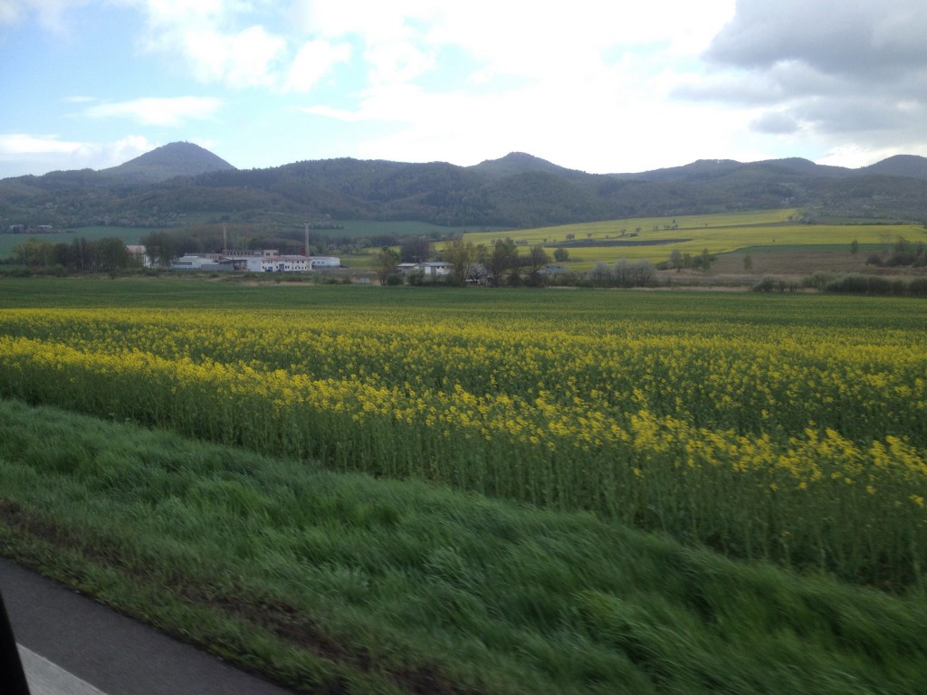 20140415-174944.jpg